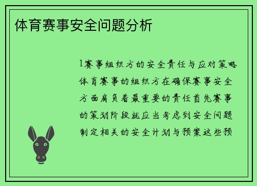 体育赛事安全问题分析